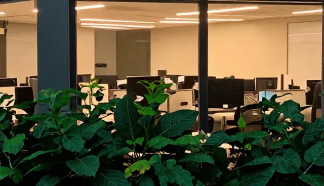 新媒体运营在品牌传播效果中的适用条件与限制